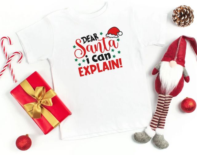 Kids Christmas Shirt, Cute Christmas Baby Onesie, Dear Santa I can Explain Toddler Tee